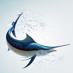 Marlin