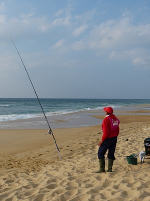 _2014_WM-Bord de Mer France06